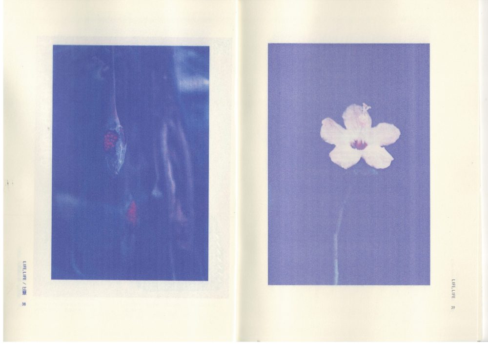91_0021
