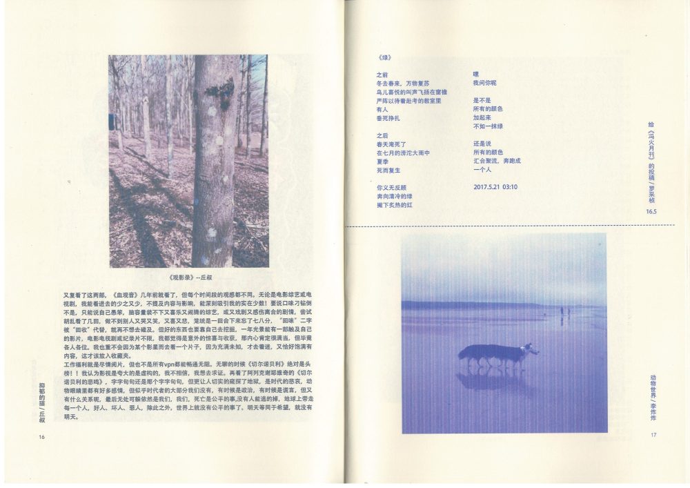 95_0010